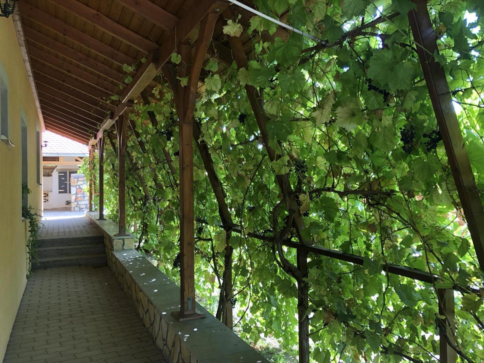 Tiszafa Vendégház Szentgál Exterior foto