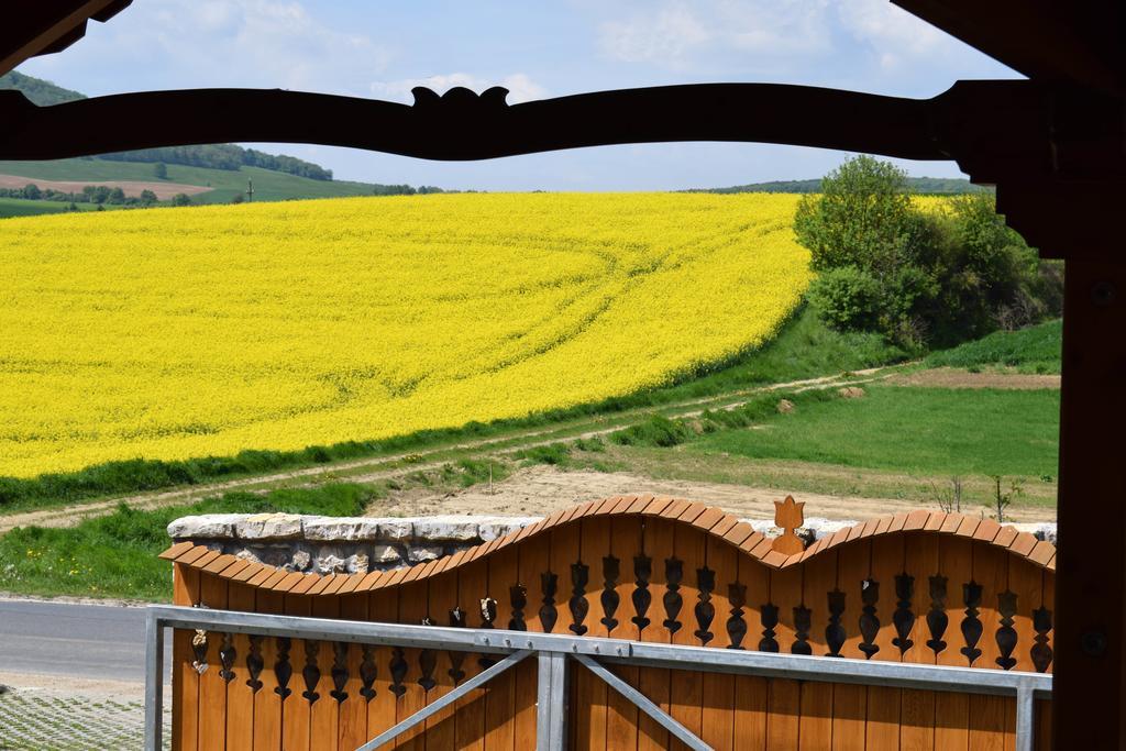 Tiszafa Vendégház Szentgál Exterior foto